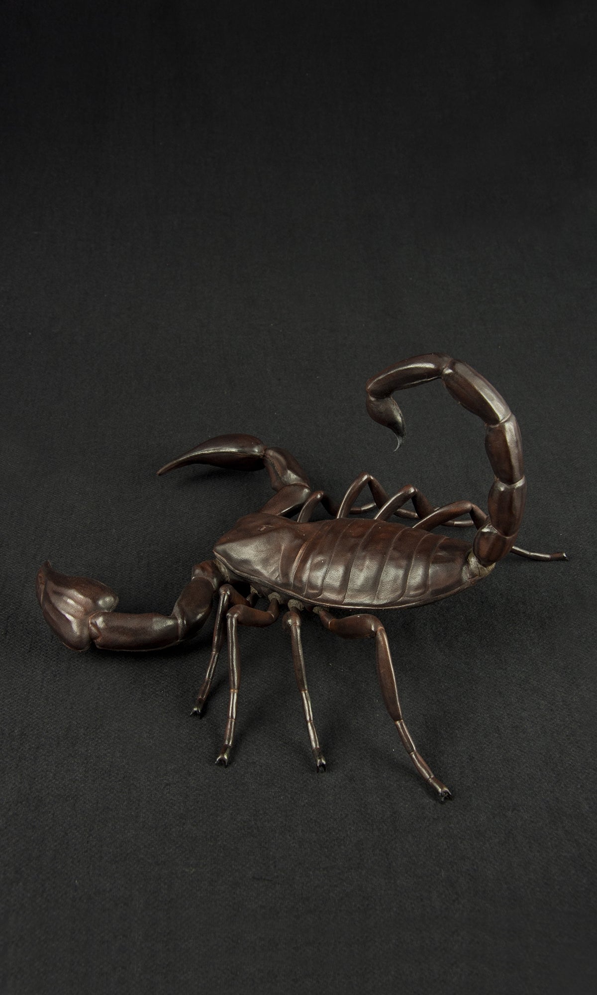 SCORPION