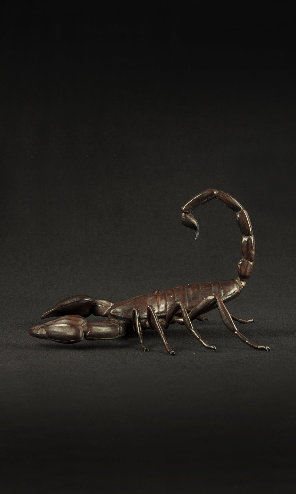 SCORPION