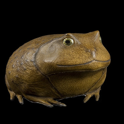 TOAD II