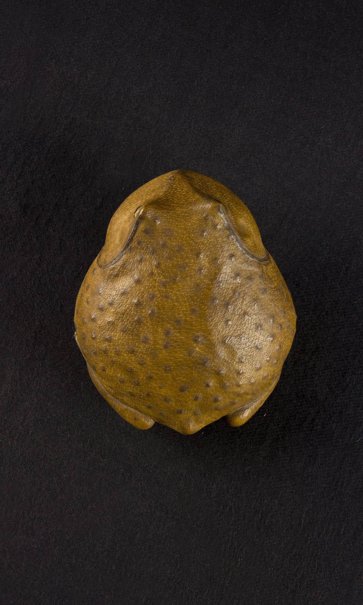TOAD II