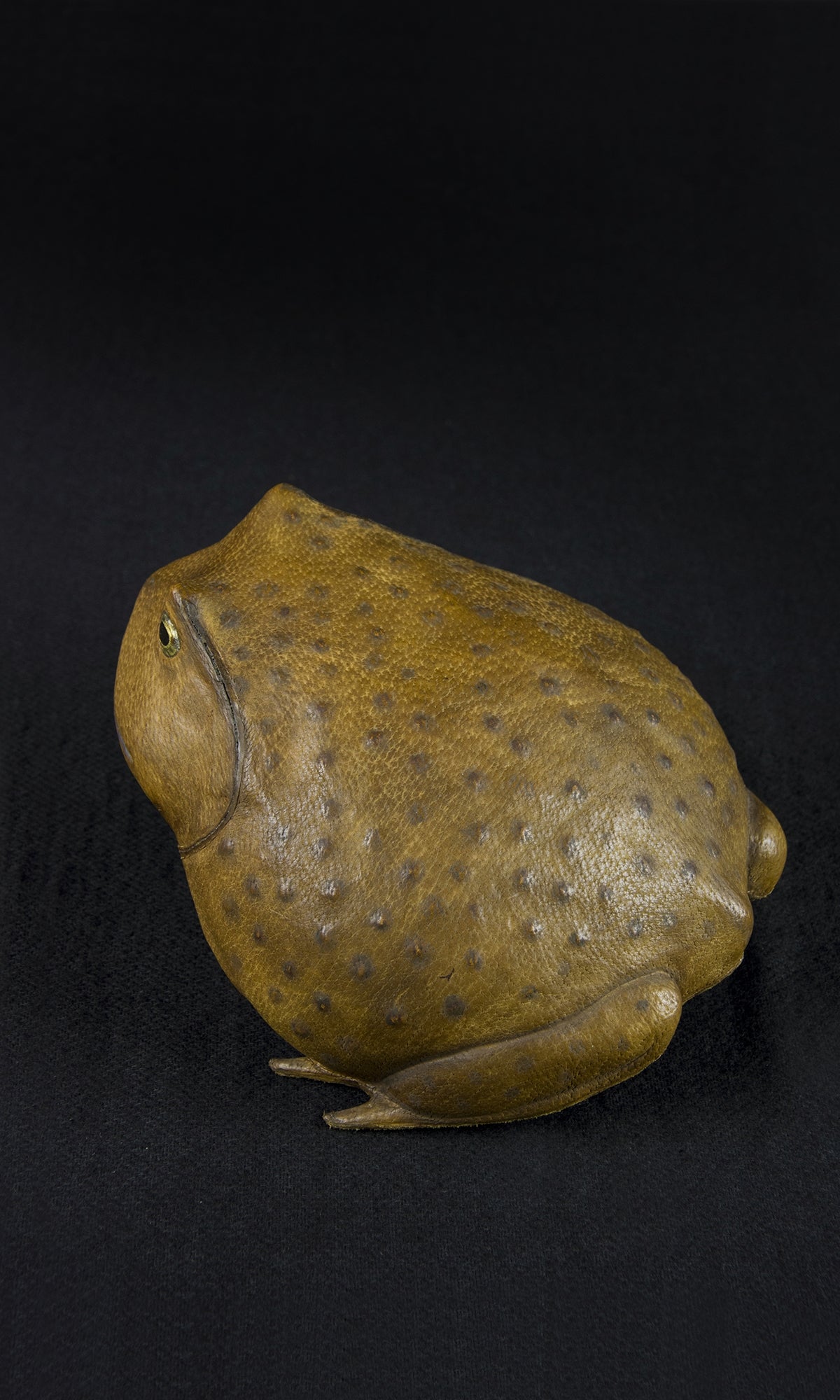 TOAD II