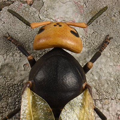 WASP