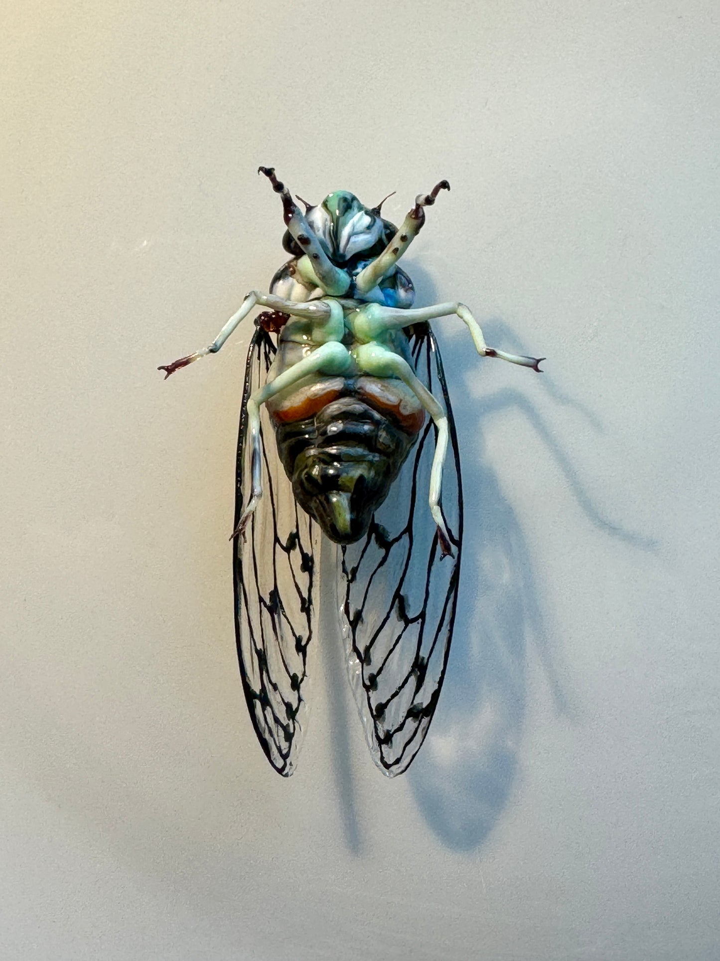 GLASS CICADA