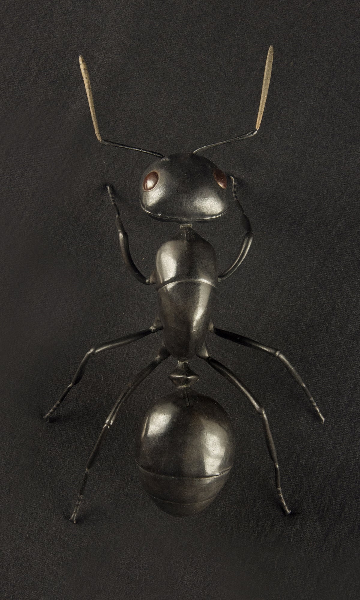 BLACK ANT