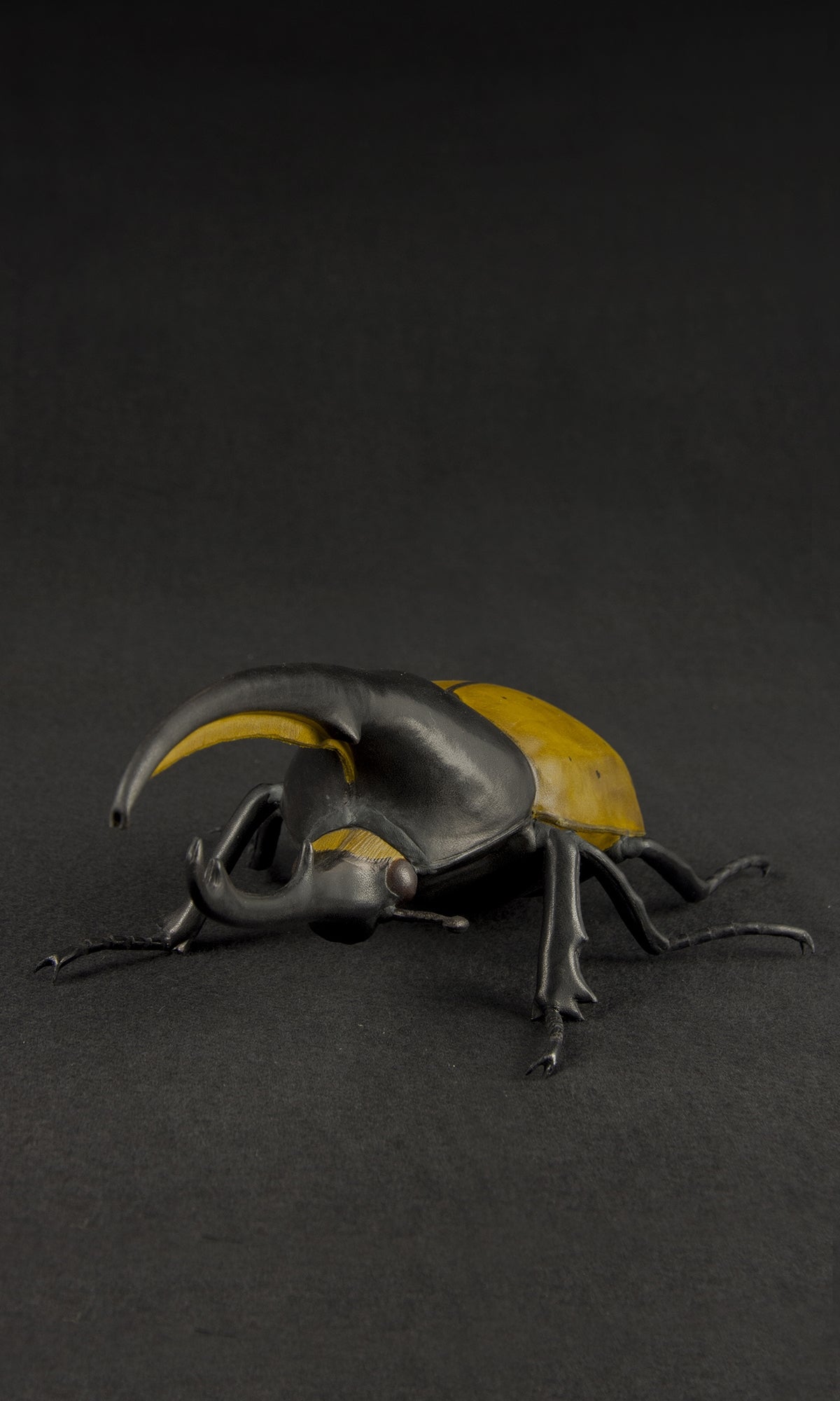 HERCULES BEETLE