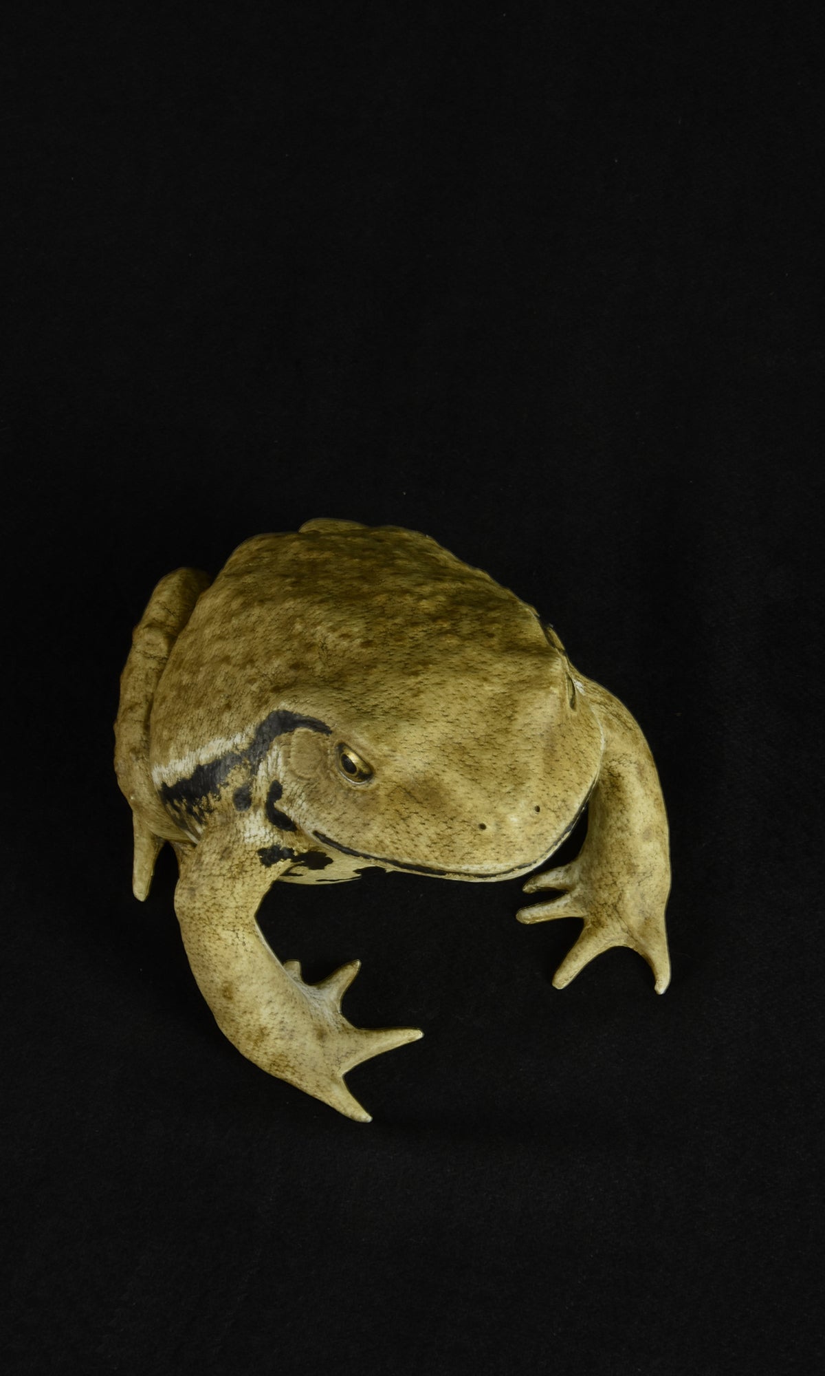 TOAD I