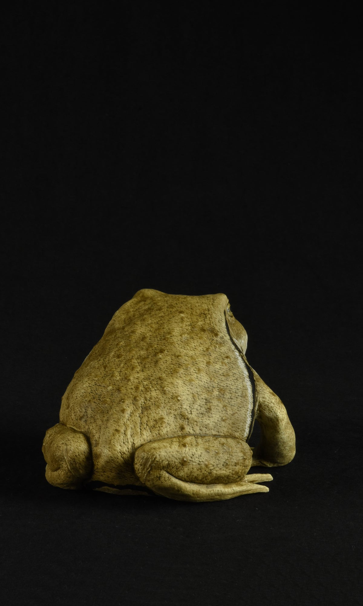 TOAD I