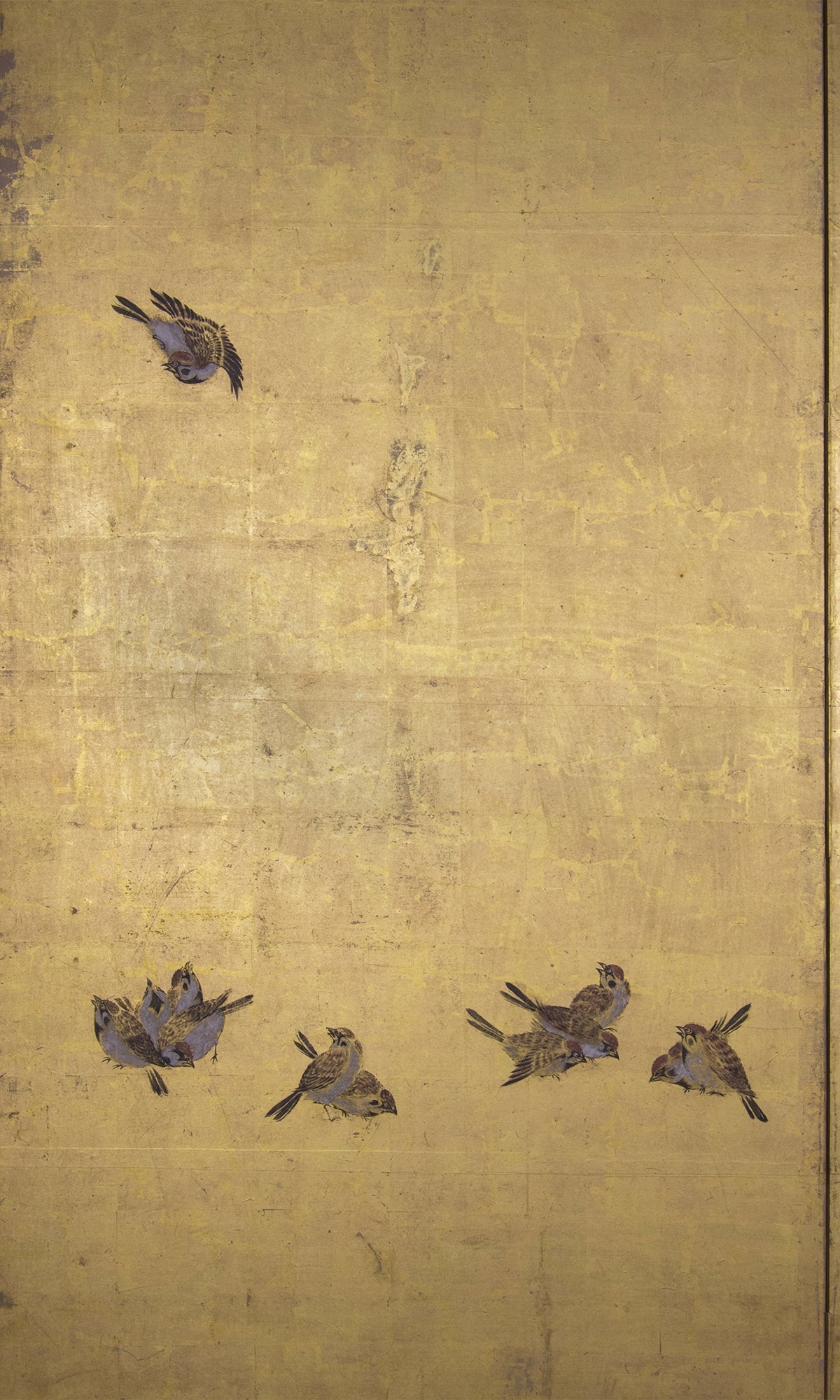 GOLD SPARROW SCREEN NB09
