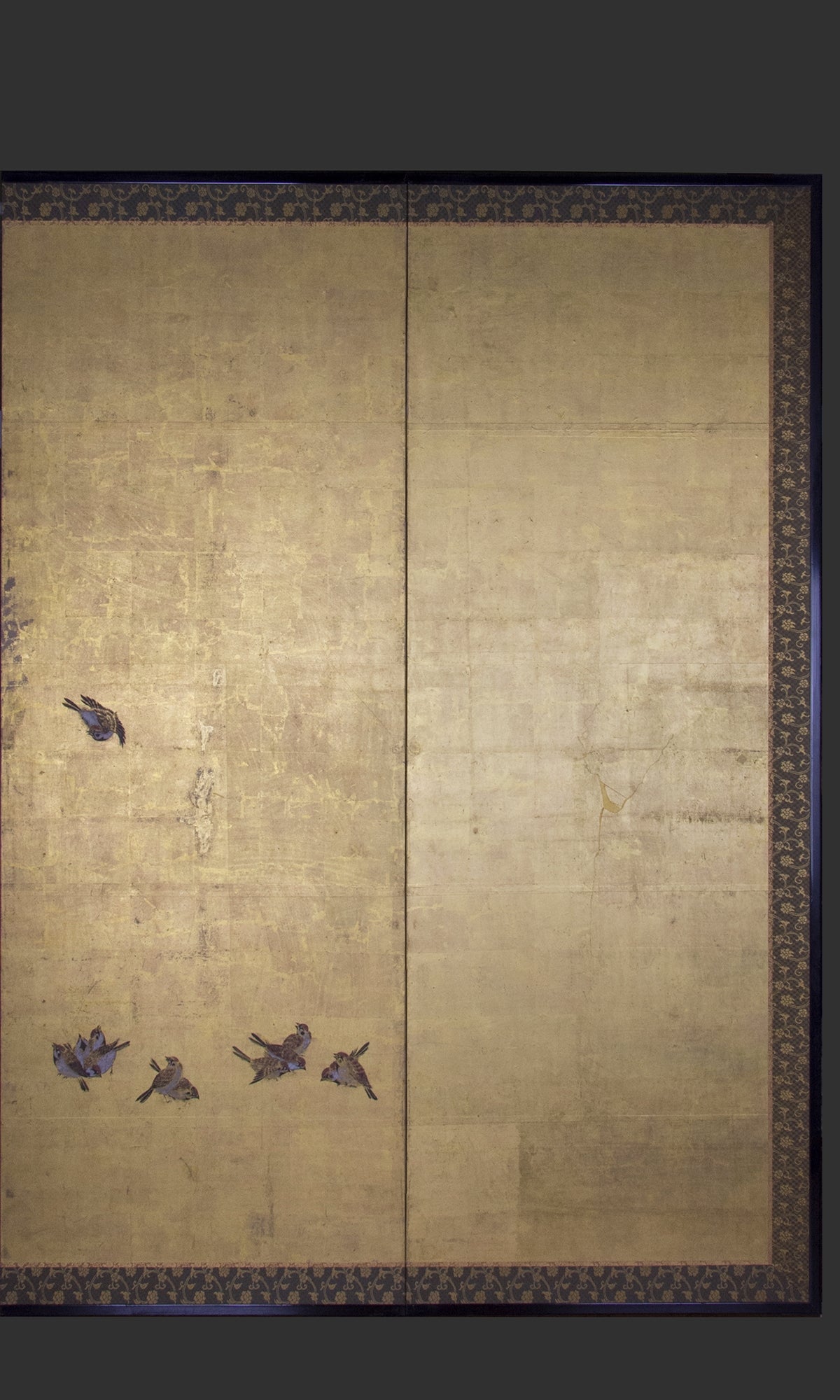 GOLD SPARROW SCREEN NB09