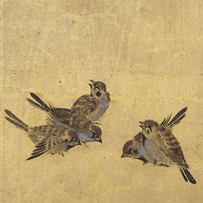 GOLD SPARROW SCREEN NB09