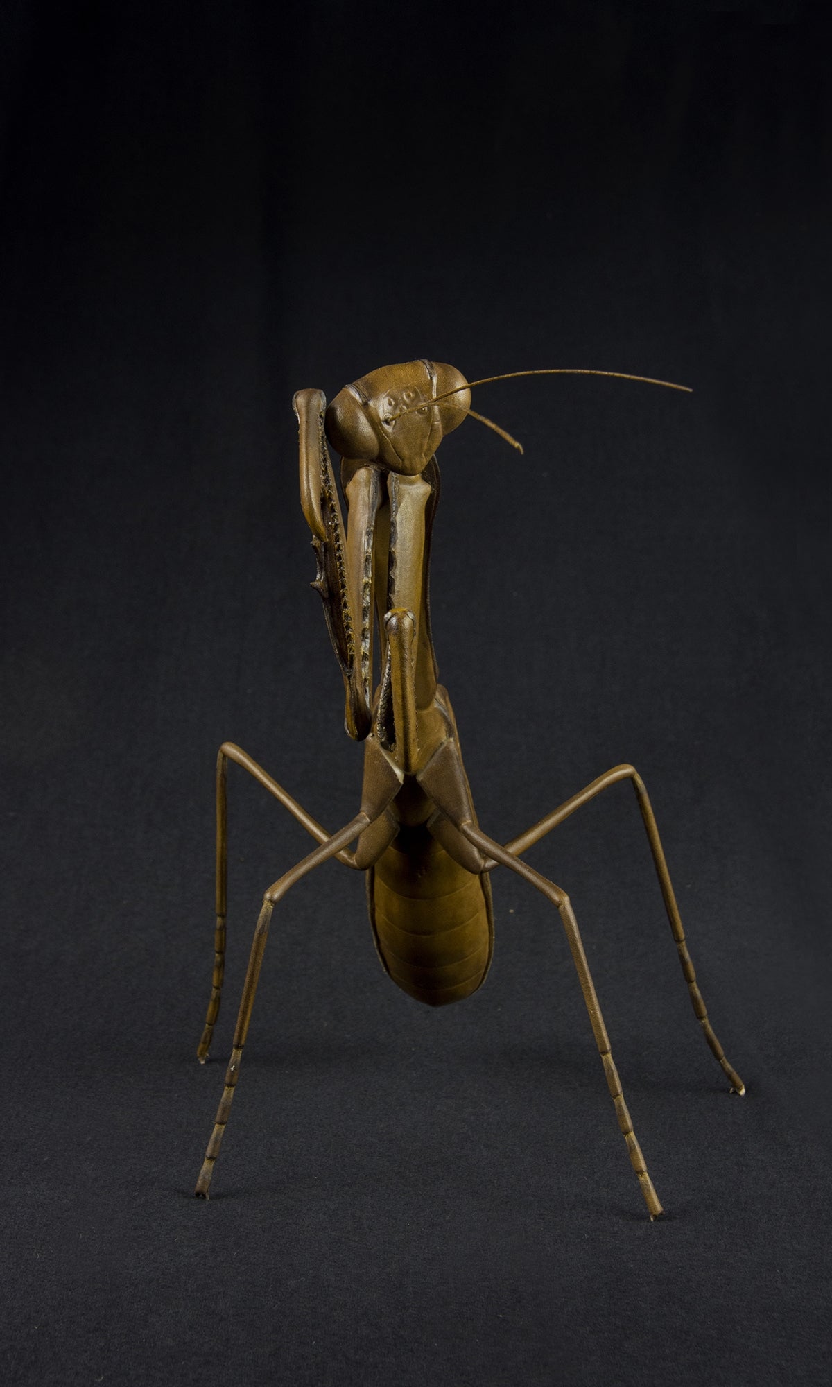 PRAYING MANTIS