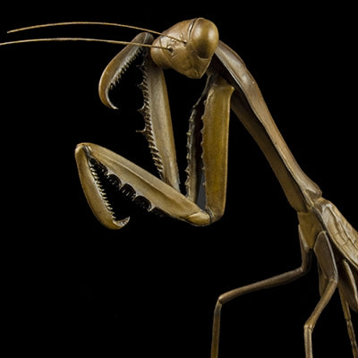 PRAYING MANTIS