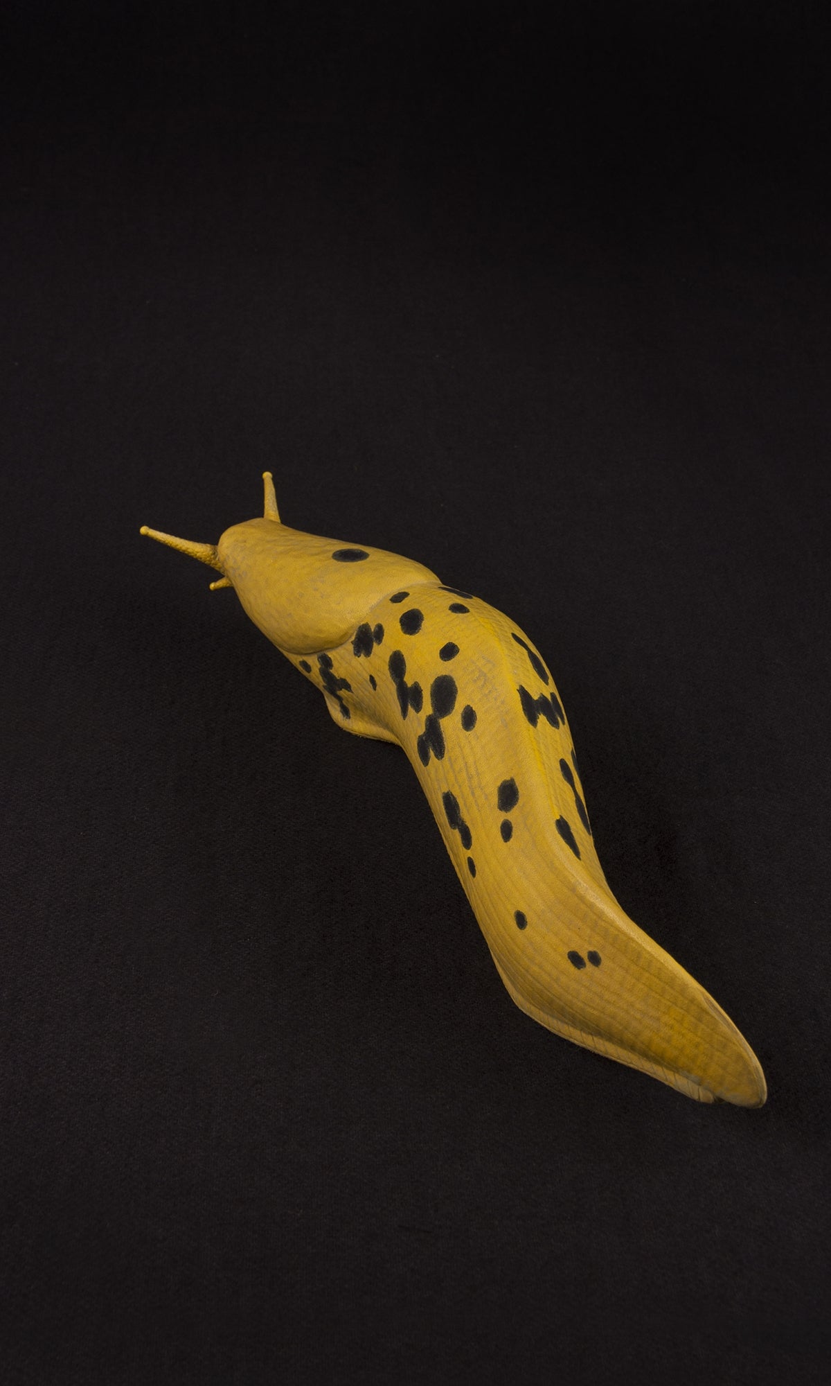 SLUG