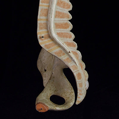 SPINE MODEL