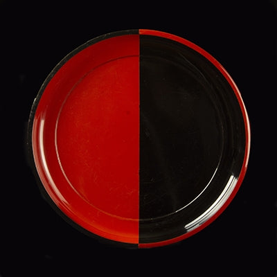 SPLIT DESIGN TRAY